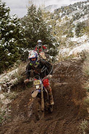 IMG_6541-431