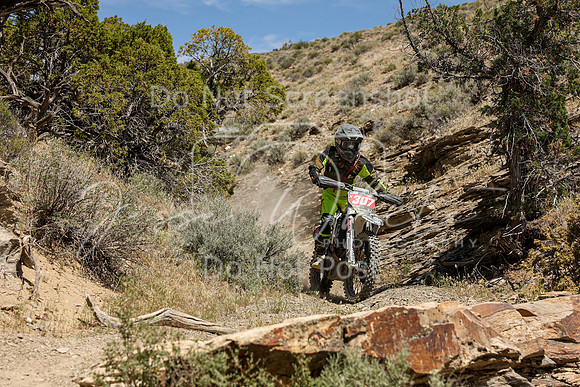 IMG_3901-x307