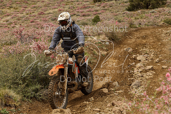 IMG_2330-