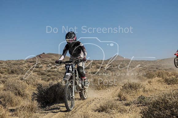 IMG_7832-74v