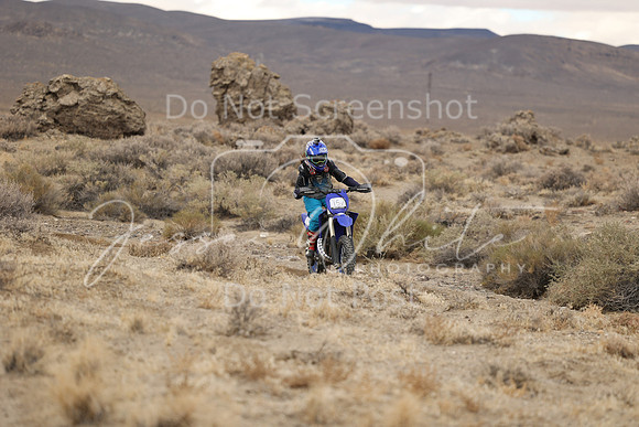 3W9A0490-15v
