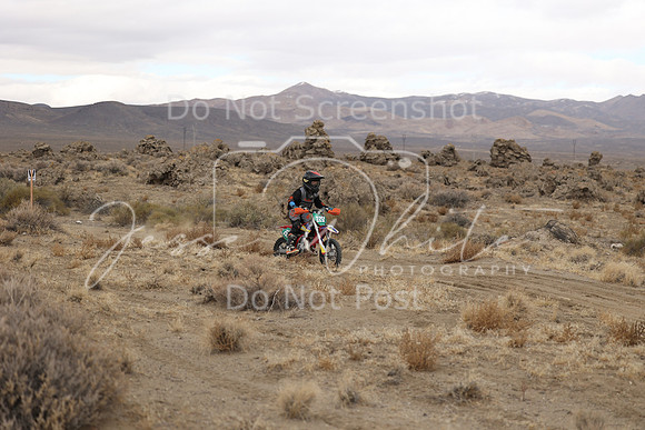 3W9A0677-225y