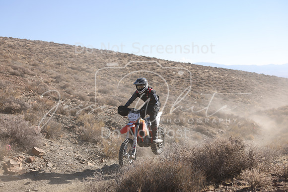 IMG_4555-215t