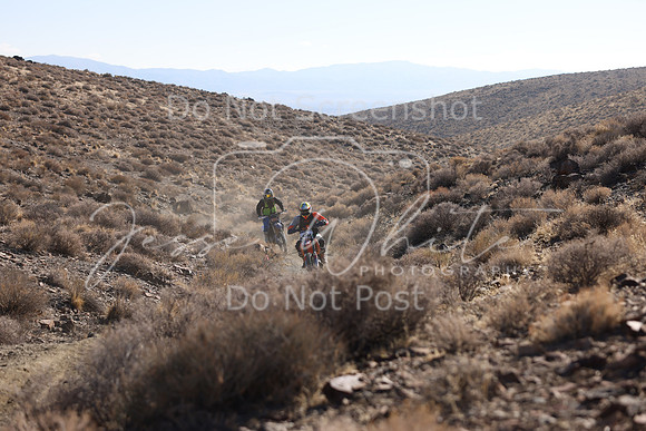 IMG_4598-4m