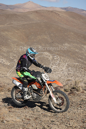 IMG_4964-5n