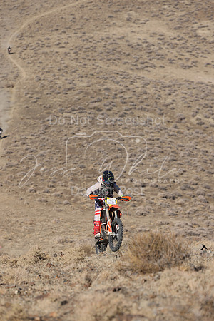 IMG_5004-694n