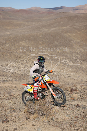IMG_5007-694n