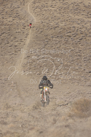 IMG_5100-24n