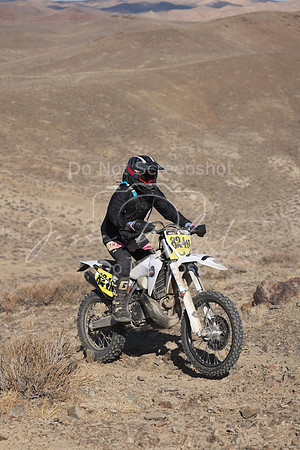 IMG_5160-824n