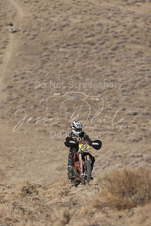 IMG_5211-82w