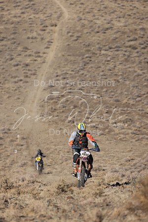 IMG_5250-4m