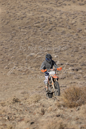 IMG_5342-705n