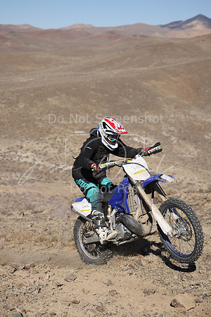 IMG_5338-388x