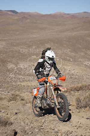 IMG_5393-811n