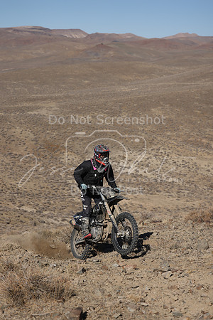 IMG_5448-22t
