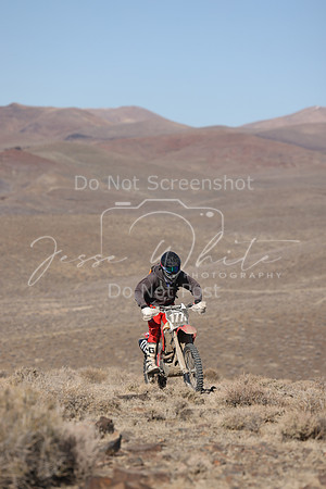 IMG_5533-177n