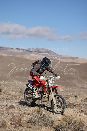 IMG_5538-177n