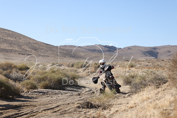 IMG_5650-164t
