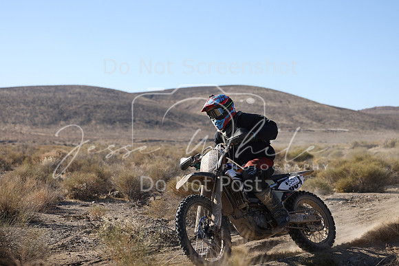 IMG_5685-55t
