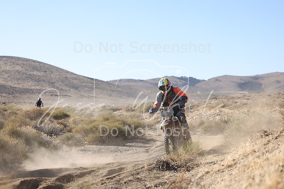 IMG_5966-4m