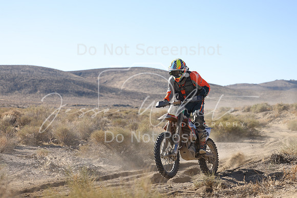 IMG_5967-4m