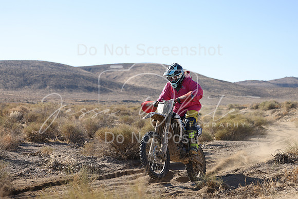 IMG_5981-681w
