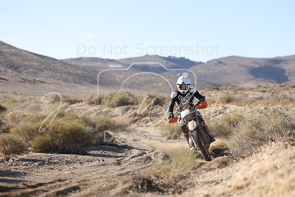 IMG_6022-811n