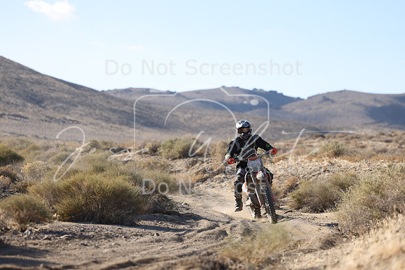 IMG_6117-810n