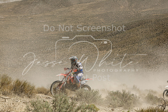 IMG_3351-n119r