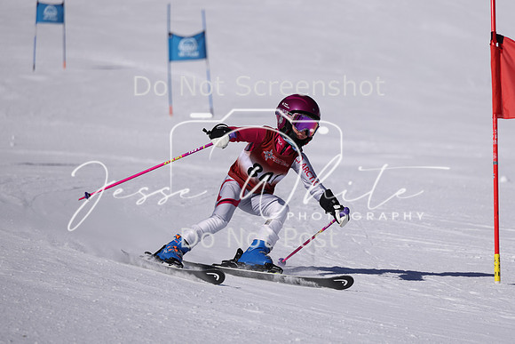 IMG_8351