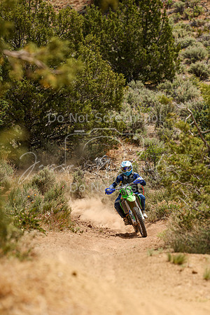 IMG_3372-613t