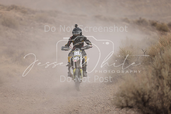 IMG_9148-99j