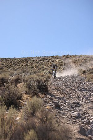 IMG_4941-824n