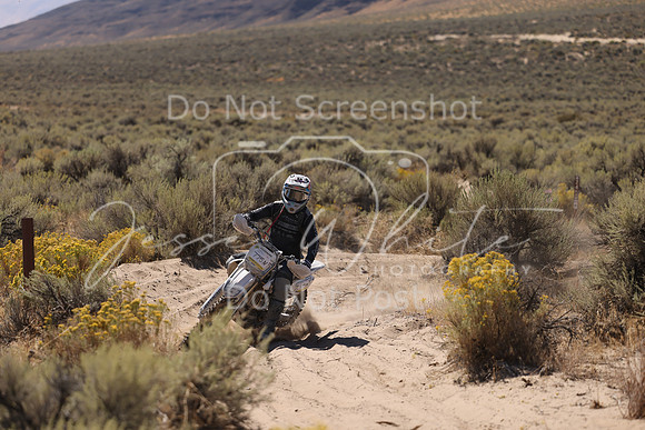 IMG_4210-775n
