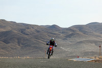 IMG_4918-350v