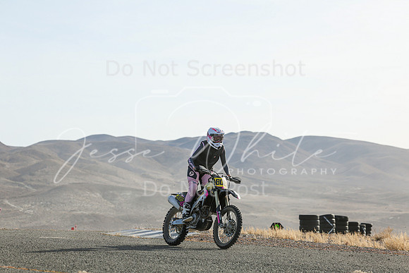 IMG_5006-808v