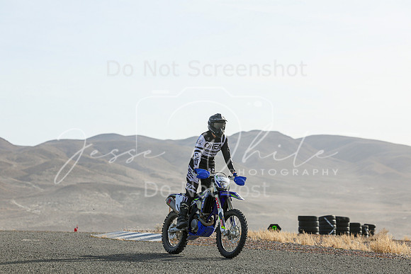 IMG_5269-342v