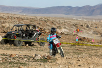 IMG_5313-448j
