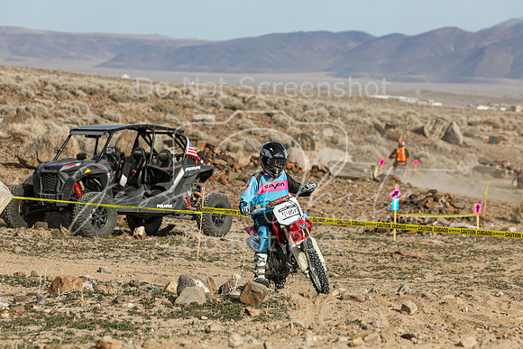IMG_5313-448j