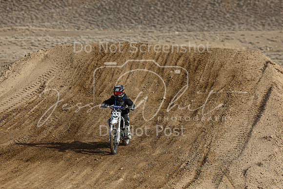IMG_6164-333j