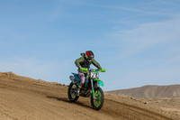 IMG_6202-77v