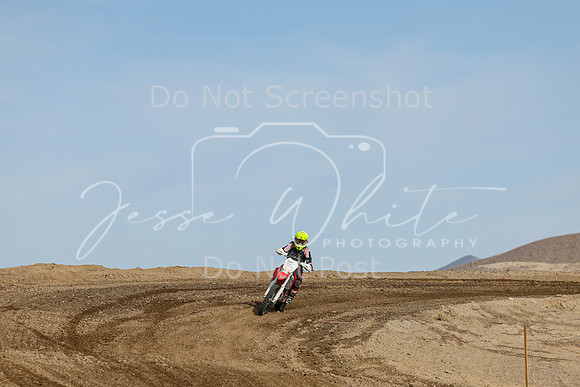 IMG_6226-474v