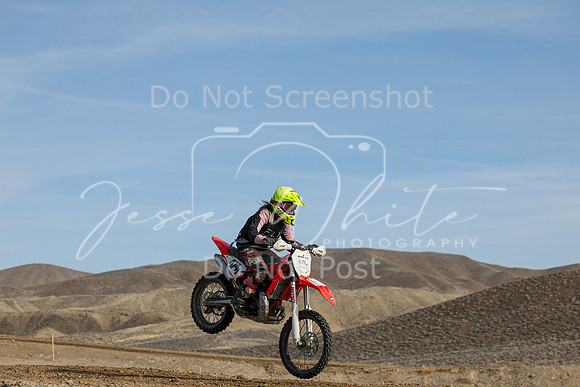 IMG_6229-474v