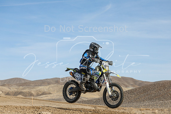 IMG_6380-513v