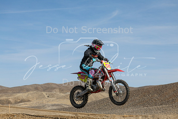 IMG_6419-227v