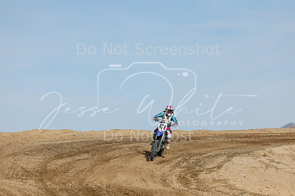 IMG_6441-828v