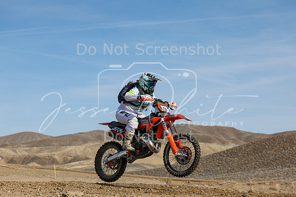 IMG_6474-373v
