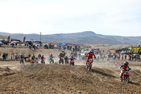 IMG_6604-808z