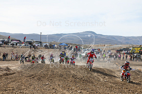 IMG_6604-808z
