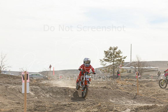 IMG_6678-808z